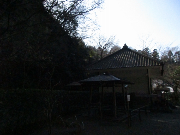 明月院の瓶（つるべ）の井