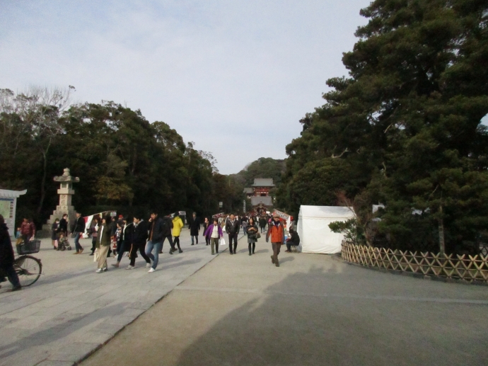 鶴岡八幡宮　二の鳥居付近から