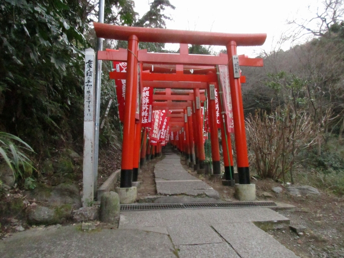 佐助稲荷神社の参道