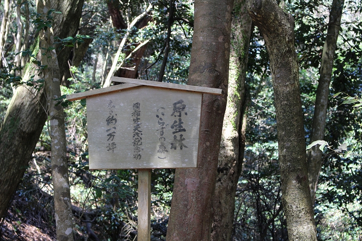 氣多大社入らずの森