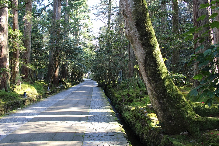 那谷寺の参道