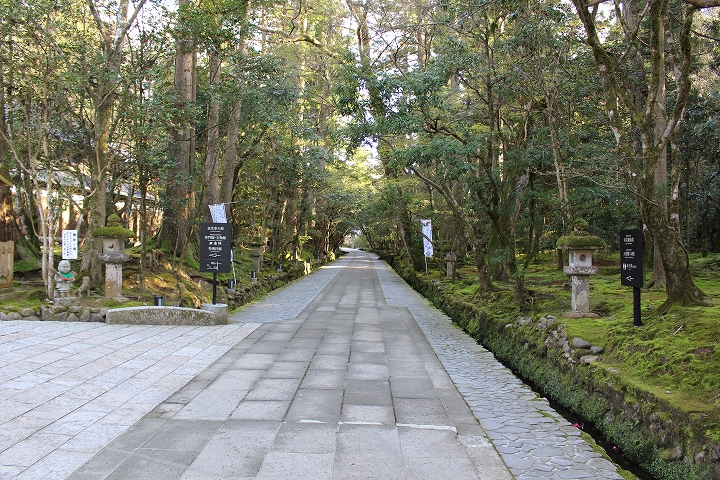 再度那谷寺の参道