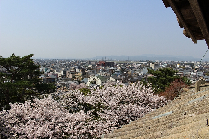 丸岡城の天守より