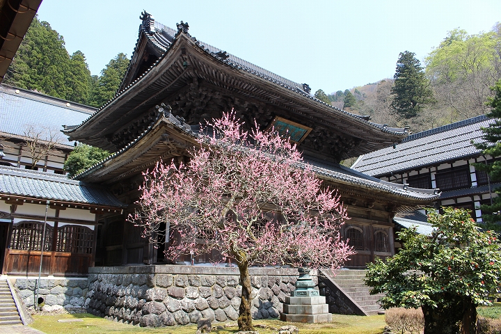 永平寺の仏殿